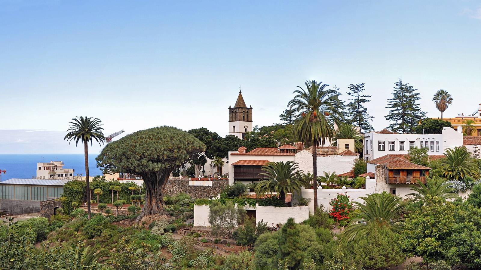 Icod de los Vinos, Santa Cruz de Tenerife
